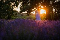 20230623 Lavendel Sunset-10